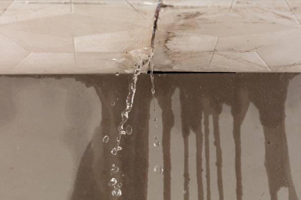 Professional Flood Damage Cleanup technician working in Nokomis, FL